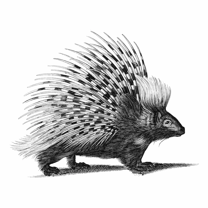 Quilliam