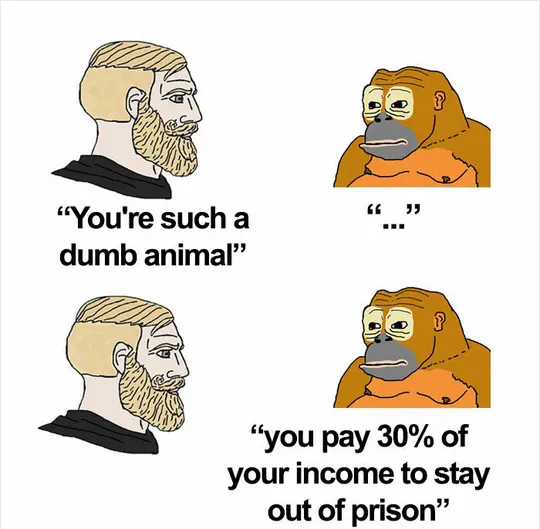 monkey.jpg